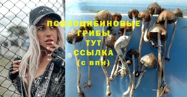 марки nbome Балахна