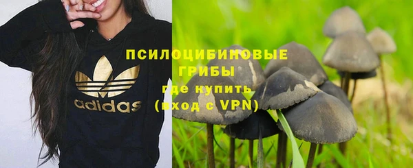 apvp Балабаново