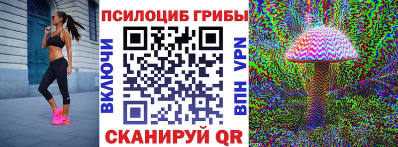 Псилоцибиновые грибы MAGIC MUSHROOMS  Купить закладки  Кораблино 
