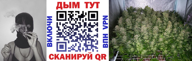 Марихуана OG Kush  Купить  Кораблино 
